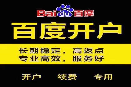 百度搜索引擎优化推广：成功案例揭秘